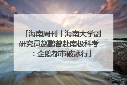 海南周刊丨海南大学副研究员赵鹏曾赴南极科考：企鹅都市破冰行