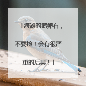 海滩的鹅卵石，不要捡！会有很严重的后果！