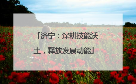 济宁：深耕技能沃土，释放发展动能