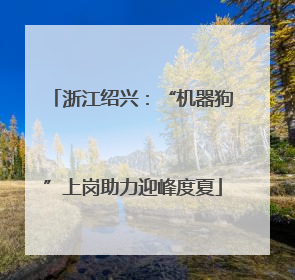 浙江绍兴：“机器狗”上岗助力迎峰度夏