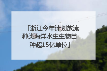 浙江今年计划放流种类海洋水生生物苗种超15亿单位