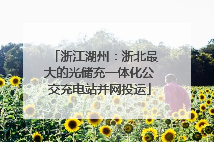 浙江湖州：浙北最大的光储充一体化公交充电站并网投运