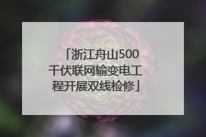 浙江舟山500千伏联网输变电工程开展双线检修
