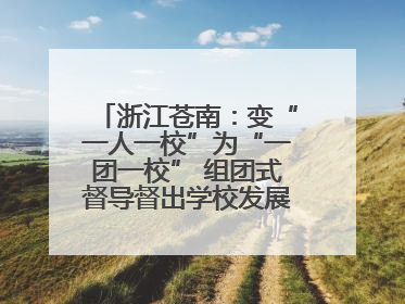浙江苍南：变“一人一校”为“一团一校” 组团式督导督出学校发展加速度