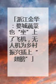 浙江金华：婺城蔬菜也“坐”上了飞机，无人机为乡村振兴插上“翅膀”