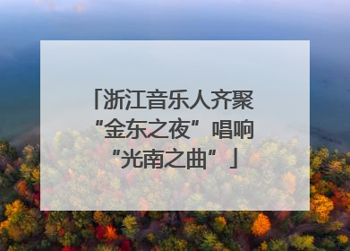 浙江音乐人齐聚“金东之夜”唱响“光南之曲”