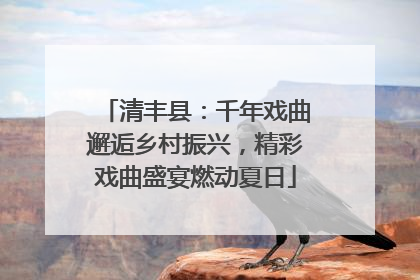 清丰县：千年戏曲邂逅乡村振兴，精彩戏曲盛宴燃动夏日