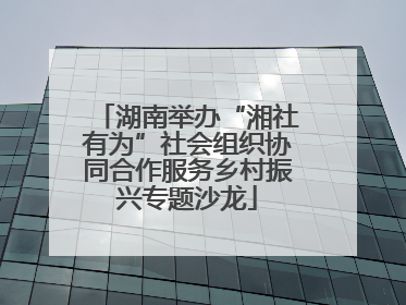 湖南举办“湘社有为”社会组织协同合作服务乡村振兴专题沙龙