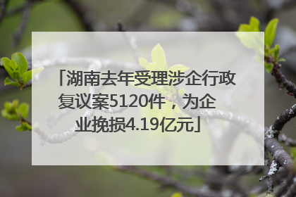 湖南去年受理涉企行政复议案5120件，为企业挽损4.19亿元