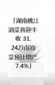 湖南桃江油菜喜迎丰收 31.24万亩油菜预计增产7.4%