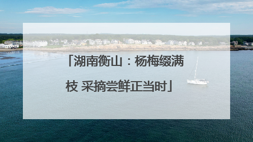 湖南衡山：杨梅缀满枝 采摘尝鲜正当时