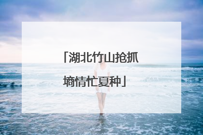 湖北竹山抢抓墒情忙夏种