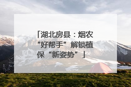 湖北房县：烟农“好帮手”解锁植保“新姿势”