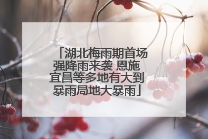 湖北梅雨期首场强降雨来袭 恩施宜昌等多地有大到暴雨局地大暴雨