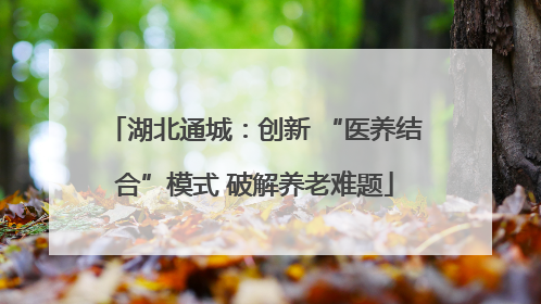 湖北通城：创新 “医养结合”模式 破解养老难题