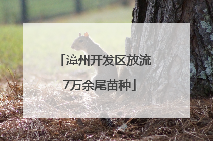 漳州开发区放流7万余尾苗种