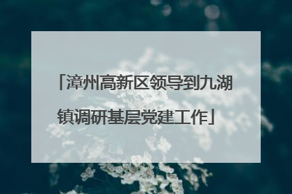 漳州高新区领导到九湖镇调研基层党建工作
