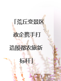 荒丘变景区 政企携手打造殷都农旅新标杆
