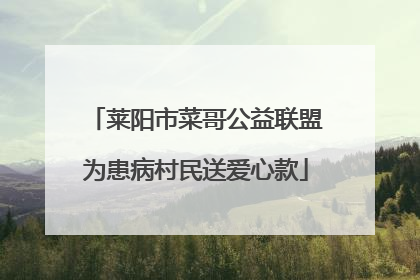 莱阳市菜哥公益联盟为患病村民送爱心款
