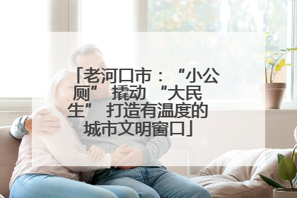 老河口市：“小公厕” 撬动 “大民生” 打造有温度的城市文明窗口