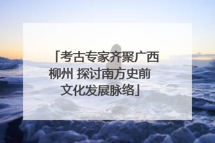 考古专家齐聚广西柳州 探讨南方史前文化发展脉络
