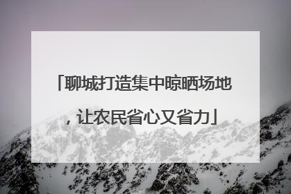 聊城打造集中晾晒场地，让农民省心又省力