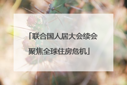联合国人居大会续会聚焦全球住房危机