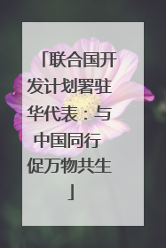 联合国开发计划署驻华代表：与中国同行 促万物共生