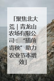 聚焦北大荒｜青龙山农场有限公司：“插前寄秧”助力农业节本增效