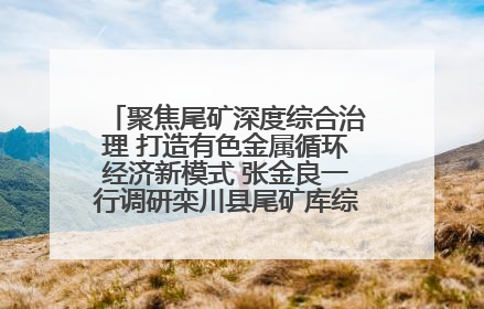 聚焦尾矿深度综合治理 打造有色金属循环经济新模式 张金良一行调研栾川县尾矿库综合治理工作