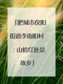 肥城市仪阳街道李南阳村：山楂红处是故乡
