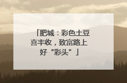 肥城：彩色土豆喜丰收，致富路上好“彩头”