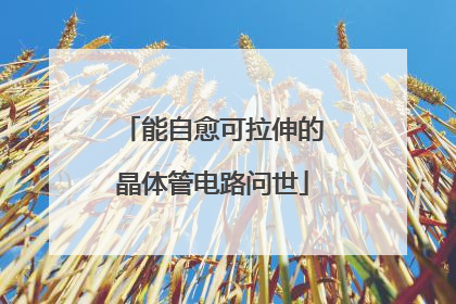 能自愈可拉伸的晶体管电路问世