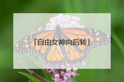 自由女神向后转