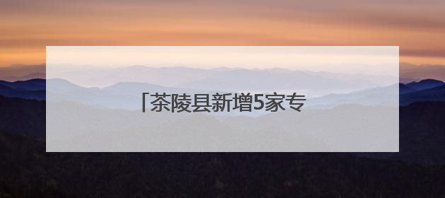 茶陵县新增5家专精特新中小企业