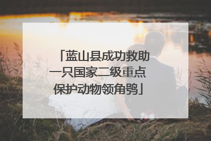 蓝山县成功救助一只国家二级重点保护动物领角鸮