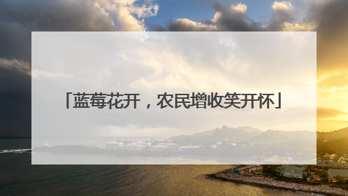 蓝莓花开，农民增收笑开怀