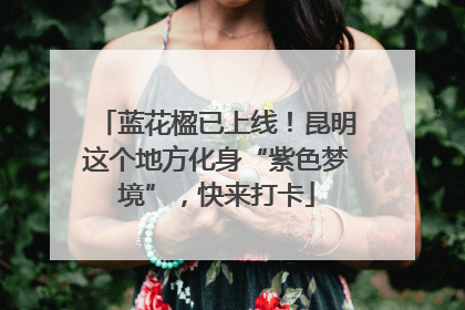 蓝花楹已上线！昆明这个地方化身“紫色梦境”，快来打卡