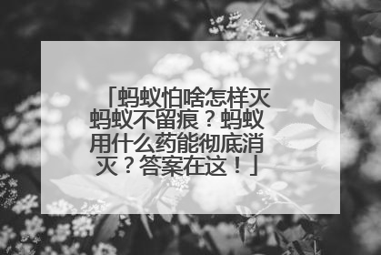 蚂蚁怕啥怎样灭蚂蚁不留痕？蚂蚁用什么药能彻底消灭？答案在这！