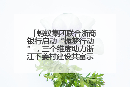 蚂蚁集团联合浙商银行启动“栀梦行动”，三个维度助力浙江下姜村建设共富示范区示范点