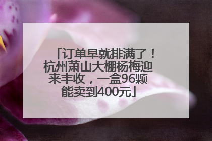订单早就排满了！杭州萧山大棚杨梅迎来丰收，一盒96颗能卖到400元