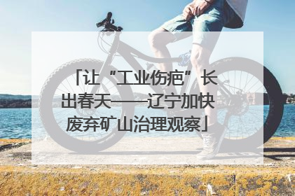 让“工业伤疤”长出春天——辽宁加快废弃矿山治理观察