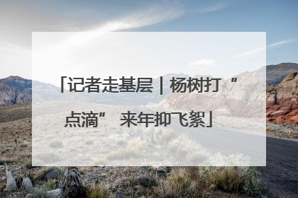 记者走基层｜杨树打“点滴” 来年抑飞絮