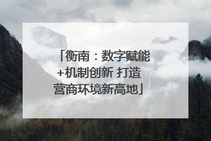 衡南：数字赋能+机制创新 打造营商环境新高地