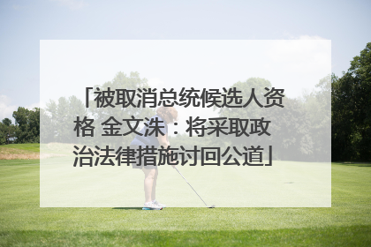被取消总统候选人资格 金文洙：将采取政治法律措施讨回公道