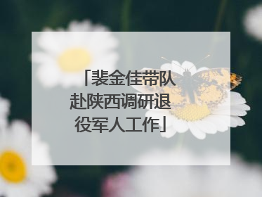 裴金佳带队赴陕西调研退役军人工作