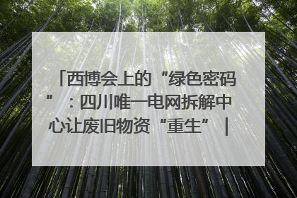 西博会上的“绿色密码”：四川唯一电网拆解中心让废旧物资“重生”｜西博寻“新”记