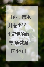 西宁市水井巷小学：牢记党的教导 争做强国少年