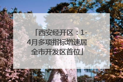 西安经开区：1-4月多项指标增速居全市开发区首位