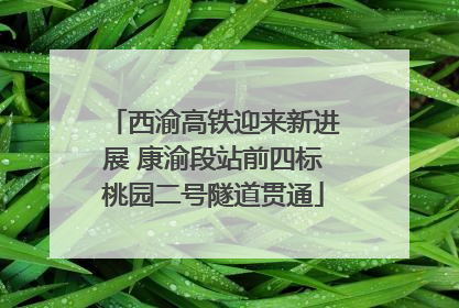西渝高铁迎来新进展 康渝段站前四标桃园二号隧道贯通